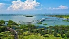 大象传媒回家不迷路-大象传媒，科技引领，让回家的路不再迷茫