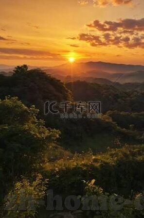 大象回家视频dx导航2022-象行千里，大象回家之旅与DX导航2022的智慧引领