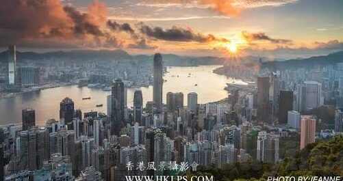麻豆av1000啪-探索麻豆AV1000背后的技术力量与思考
