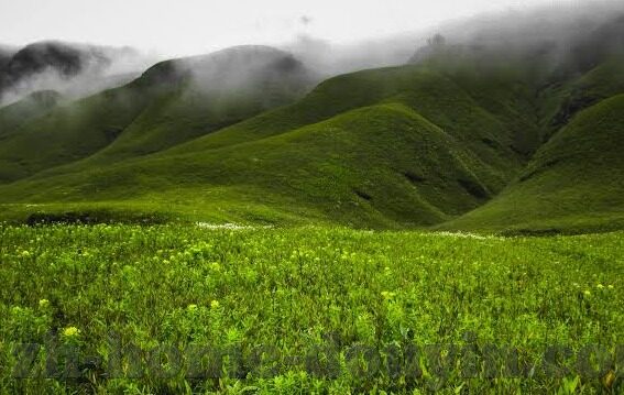 麻豆传媒app下载破解版苹果-避开版权雷区，苹果设备上涉及不合法下载的隐忧
