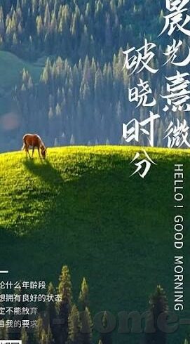 麻豆娱乐视频-