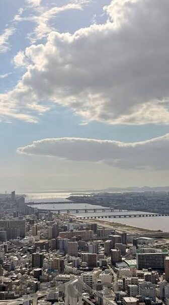 糖心app视频下载-探索数字世界中的视频盛宴，深入理解糖心App与视频下载体验