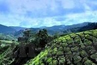 yw尤物av无码麻豆-雅致与诱惑的迷人交响曲，尤物之魅的微妙探讨